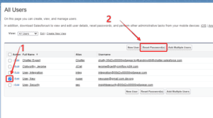 How To Reset A Salesforce User S Password Screenshots