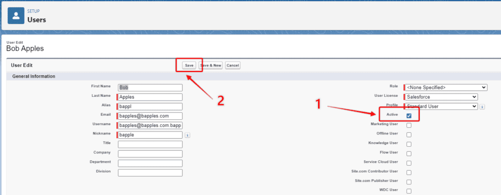 Screen shot of Salesforce user profile with 'Active' checkbox and 'Save' button highlighted.