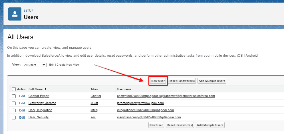 Screenshot of Salesforce User list view and the 'New User' button highlighted.