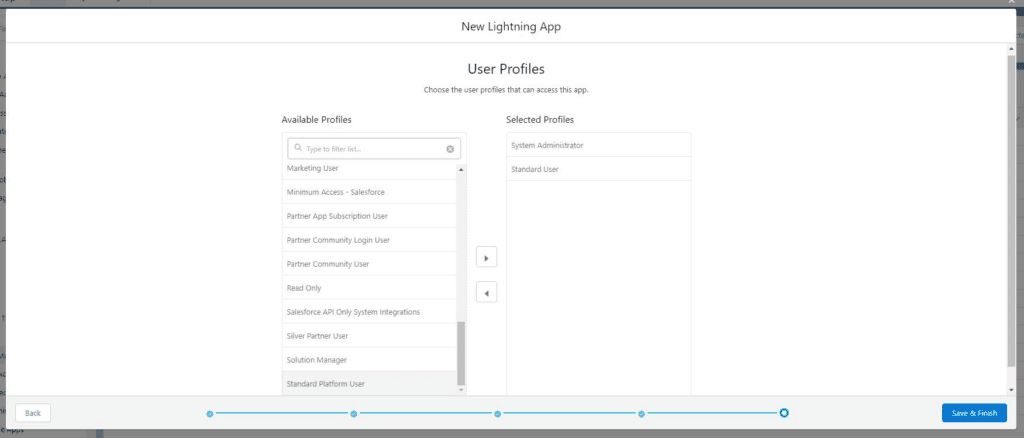 Screenshot of Salesforce user profile selection for new lightning app.