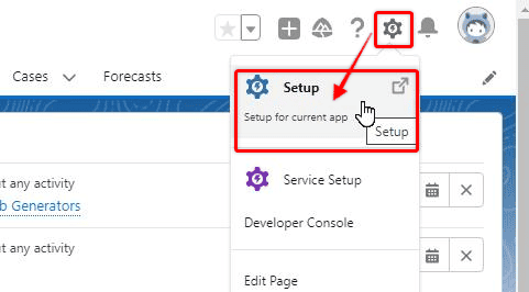 Screenshot of Salesforce with gear icon highlighted.