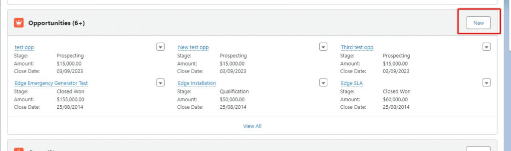 Screenshot of Salesforce Related List.