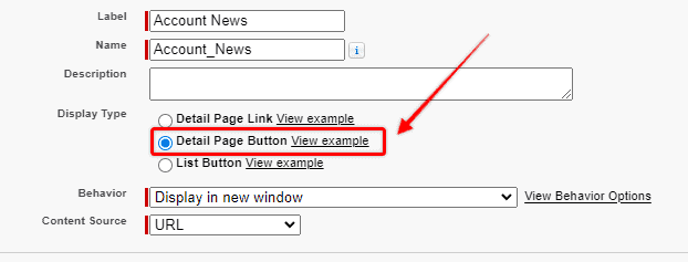 Screenshot of Salesforce New Detail Button setup screen.