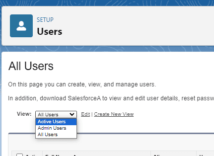 Screenshot of Salesforce User List view with 'Active Users' selected from the picklist.