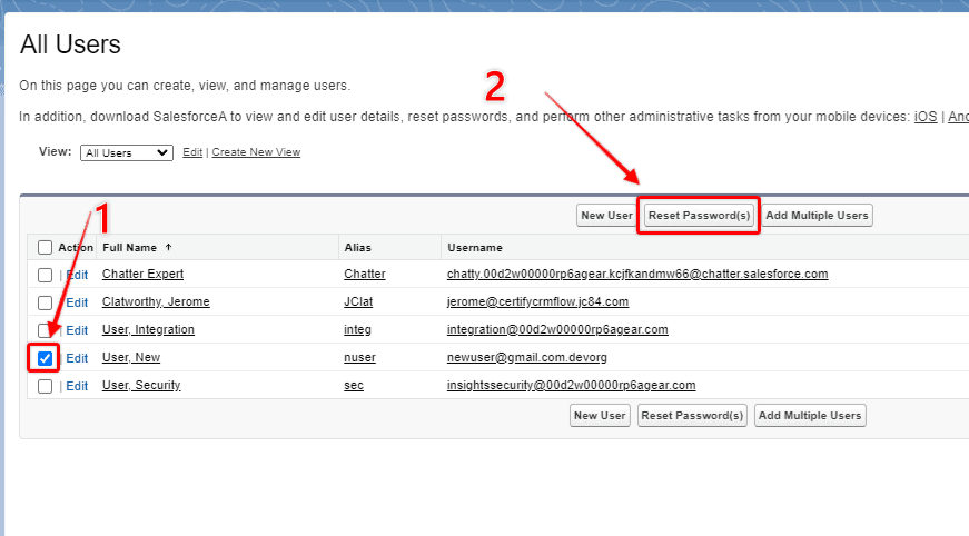Screenshot of 'All Users' list in Salesforce with 'Reset Password' button highlighted.