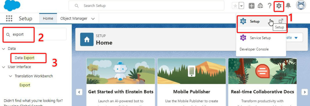 Screenshot of Salesforce Setup screen with the 'Data Export' menu item highlighted. 