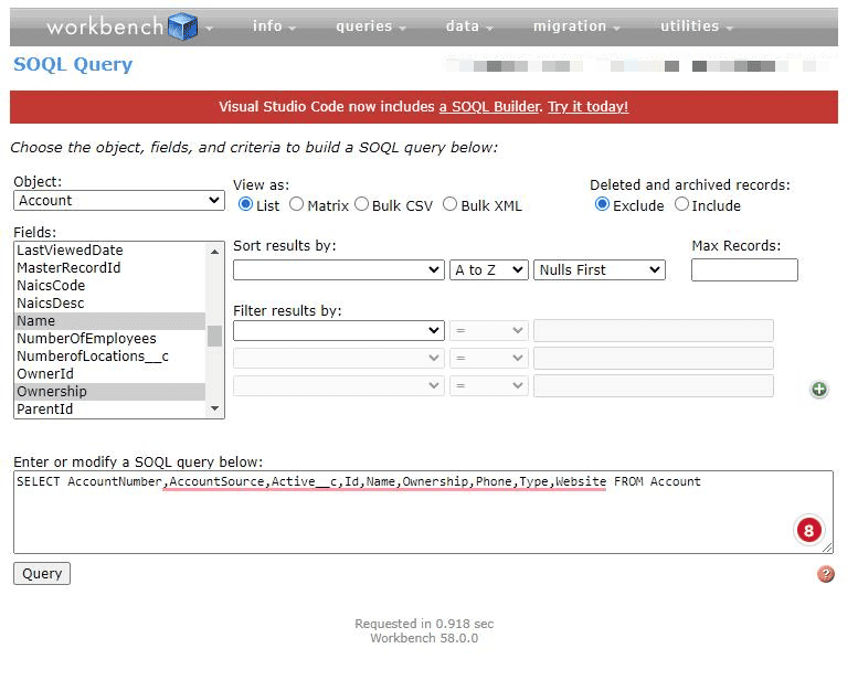 Screenshot of Salesforce Workbench SOQL Query screen.