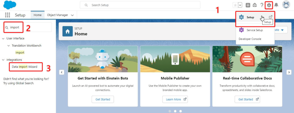 Screenshot of Salesforce Setup with Data Import Wizard menu item highlighted.