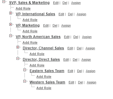 Screenshot of Role hierarhcy in Salesforce Setup