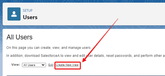 Screenshot of Salesforce user list view and the 'Create New View' link button highlighted.