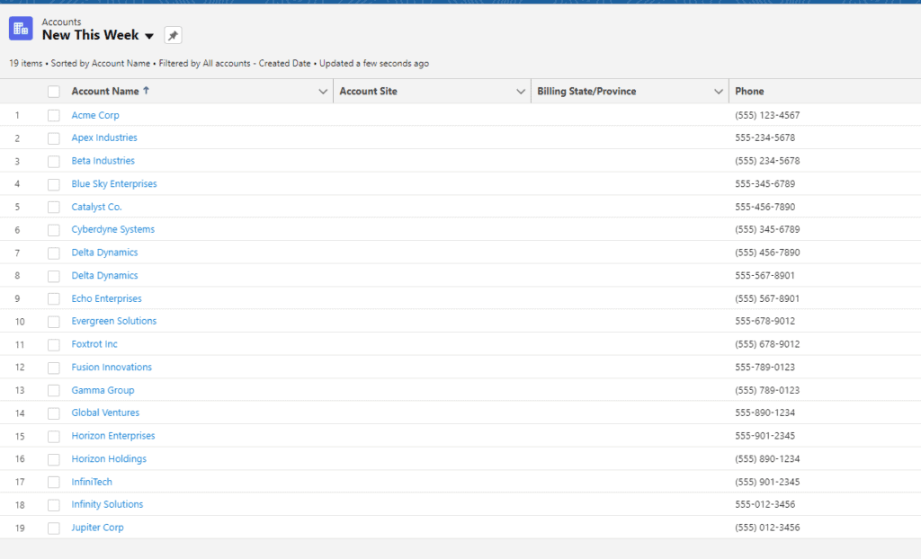 Screenshot of Salesforce Account Record List.
