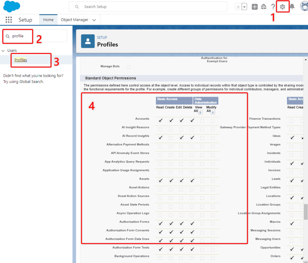 Screenshot of Salesforce Profile Objetc Settings.