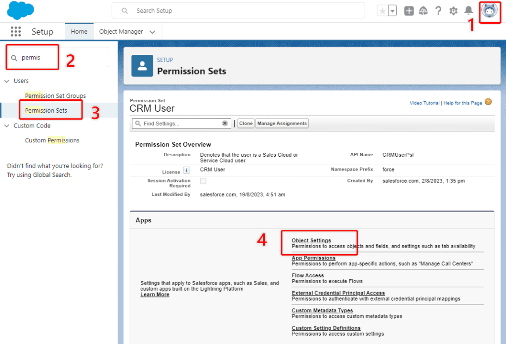 Screenshot of Salesforce Permission Set settings screen.