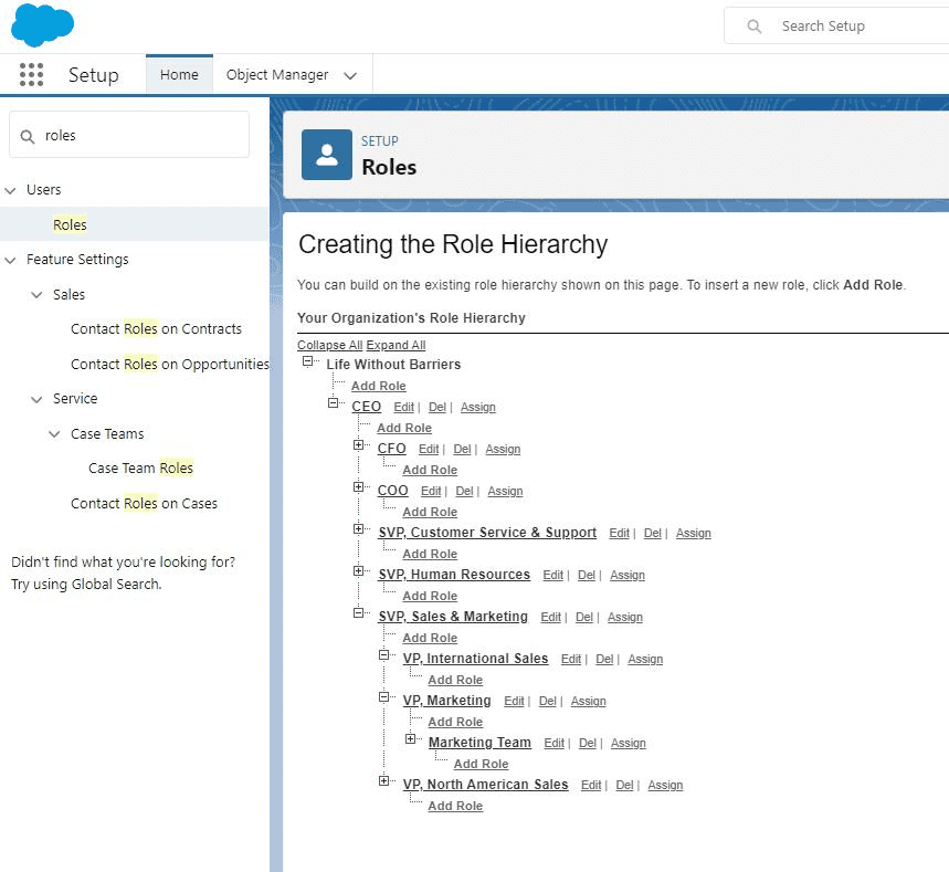 Screenshot of Salesforce Role Hierarchy.