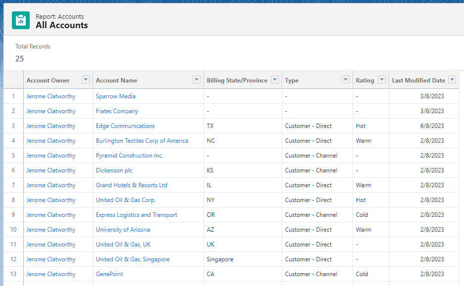 Screenshoyt of Salesforce Account Report