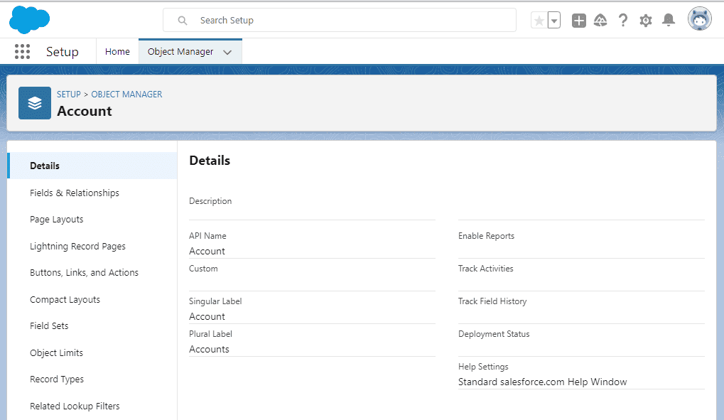 Screenshot of Salesforce Object in Object Manager.