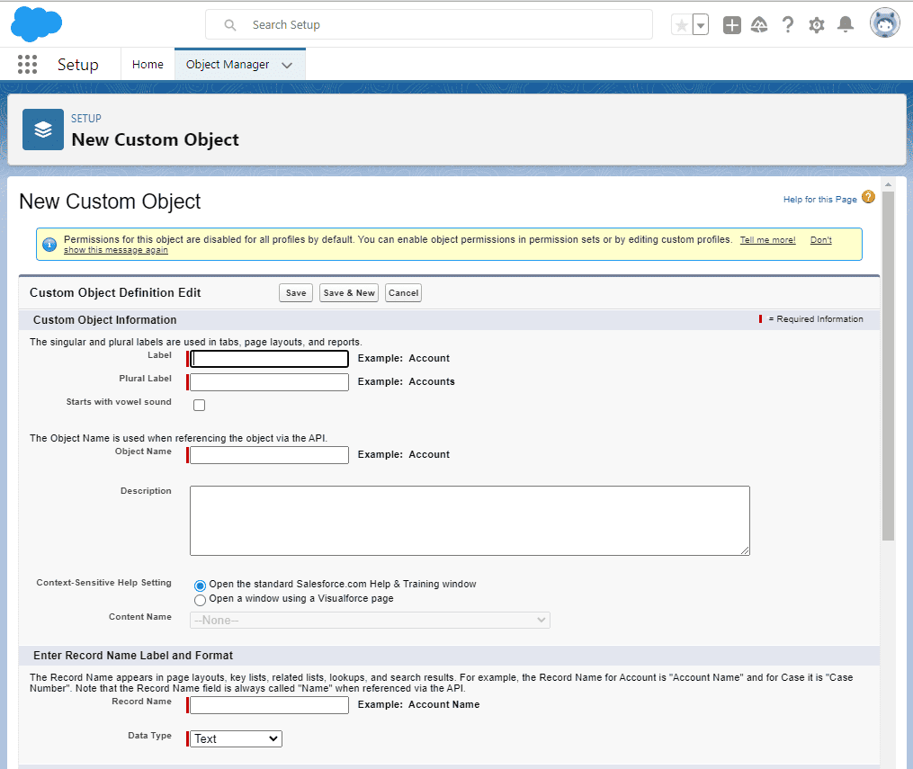 Screenshot of Salesforce  New Custom Object setup screen.