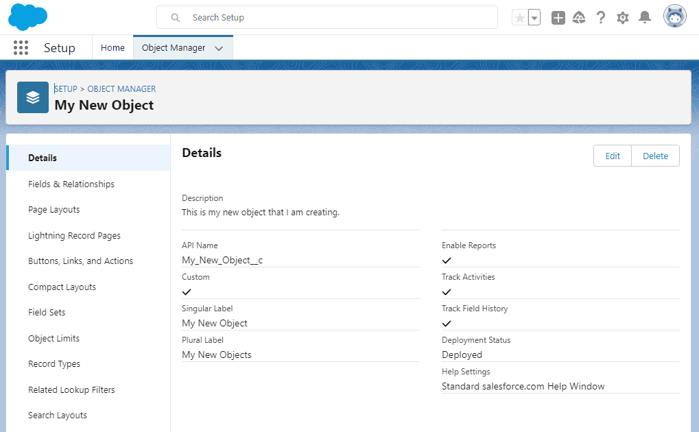 Screenshot of Salesforce Custom Object Details.