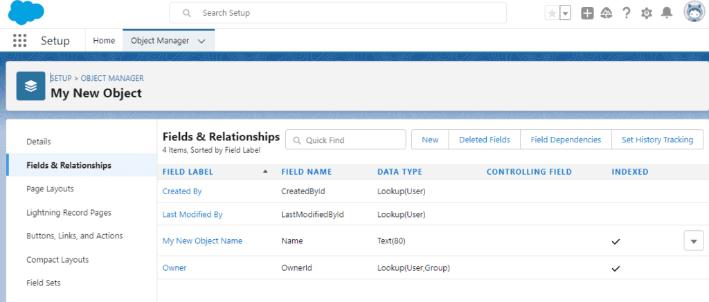 Screenshot of Salesforce Object field listing from Object Manager.