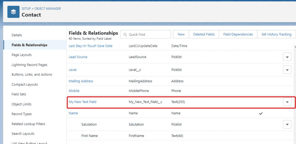 Screenshot of a Salesforce object field list in Object Manager.