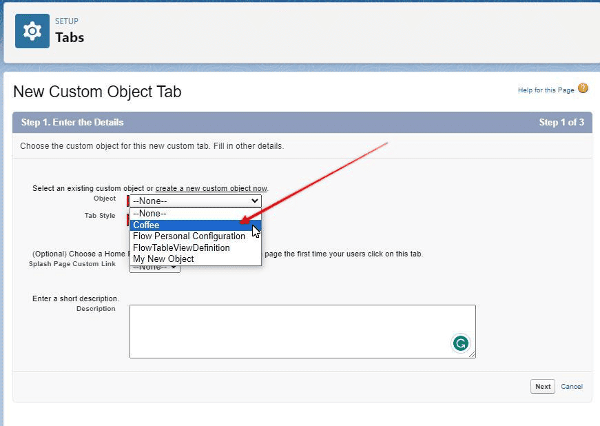 Screenshot of Salesforce 'New Custom Object Tab Wizard' screen.