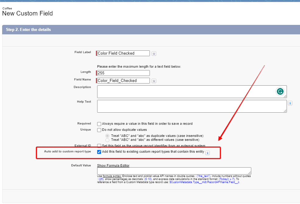 Screenshot of Salesforce Custom Field creation screen.