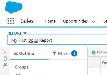 Screenshot of Salesforce report name.