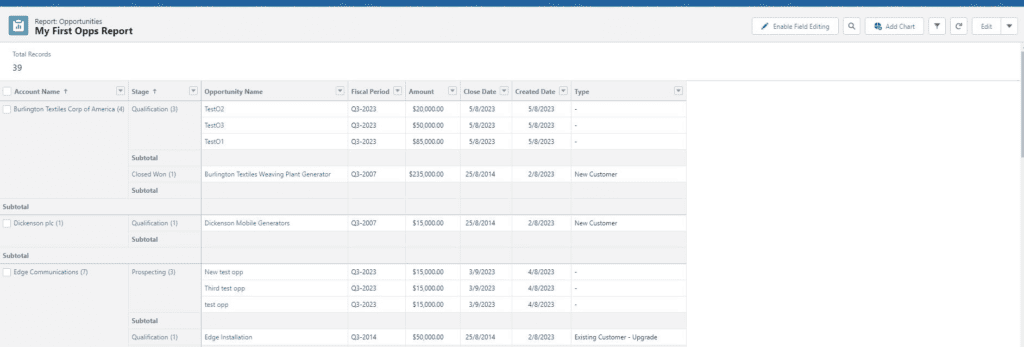 Screenshot of completed Salesforce Report.