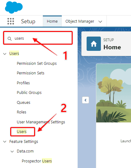 Screenshot of Salesforce Setup quick find box opening the User Management section.