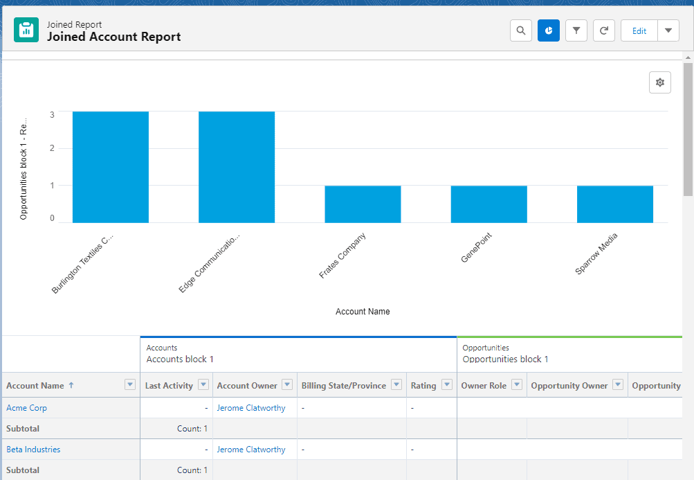 Screenshot of Salesforce Joined Report.