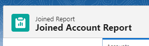 Screenshot of Salesforce Joined Report title.