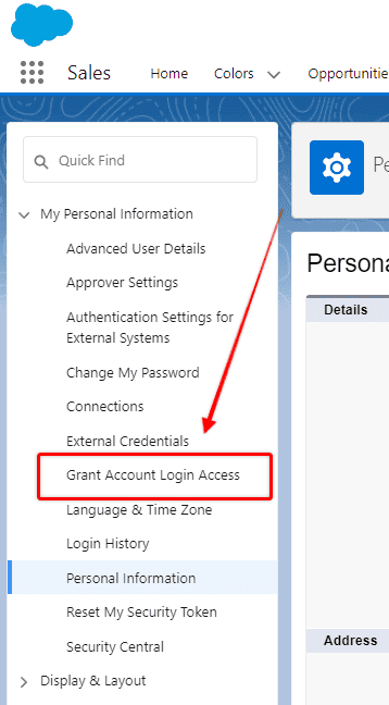 Screenshot of Salesforce User Profile selecting the interface where login access can be granted.