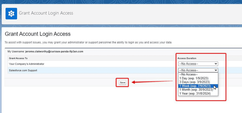 Screenshot of Salesforce User Profile granting login access duration for support.