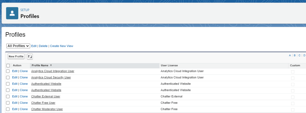 Screenshot of User Profile list in Salesforce