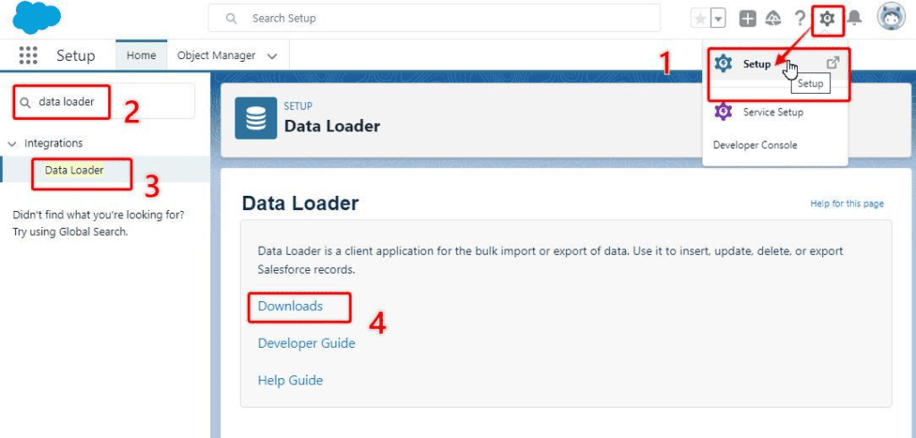 Screenshot of Salesforce Setup Data Loader section.