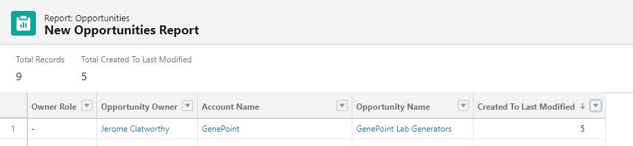 Screenshot of Salesforce Opportunity Report.